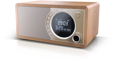Radio Sharp DR-450BR, e kaftë