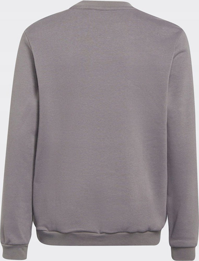 Bluzë sportive për fëmijë Adidas Entrada 22 Jr H57477, pambuk poliester, me fleece, gri