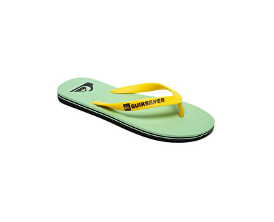 Papuçe verore Quiksilver AQYL100601-XKGW, nr 44, man