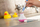 Mbajtëse furçe dhëmbësh Quirky Timer Bobble Brush, me kohëmatës 2 minuta, blu