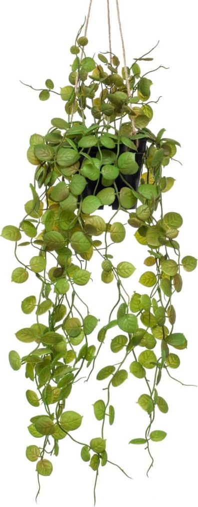 Bimë artificiale varëse VidaXL Ceropegia, 50 cm, në vazo, jeshile