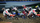 Monster Energy: Supercross 6 - The Official Videogame Disk Version PS5