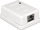 Prizë murale DeLOCK 86169, RJ45, 1 port, e bardhë