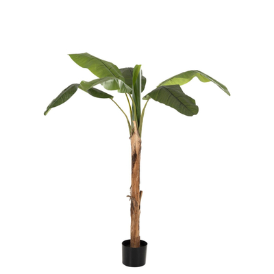 Bimë sintetike Pema Banane 200cm (HM7978)