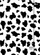 Dosje kartoni Happy Color Black and White Cow, me shirit elastik, 24x31cm