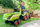 Traktor lodër Falk Claas Arion 430, për hipur me pedale, me rimorkio dhe ngarkues, i gjelbër