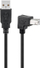 Kabllo USB 2.0 Gembird, Type A në Type B, 5m, e zezë