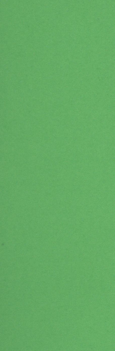 Karton Bristol Kreska A1, 170 g/m2, mint green