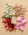 Abercrombie & Fitch Authentic Moment Woman Eau de Parfum