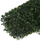 Panel dekorativ Gardlov Gardlov25390, boxwood artificial 60 x 40 cm, jeshil