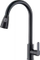 Rubinet kuzhine Sourcing Kitchen Mixer With Pull Out, me dush tërheqës, i zi