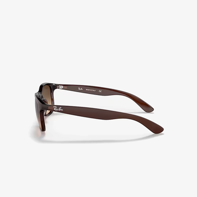 Ray-Ban RB4202 607313 55