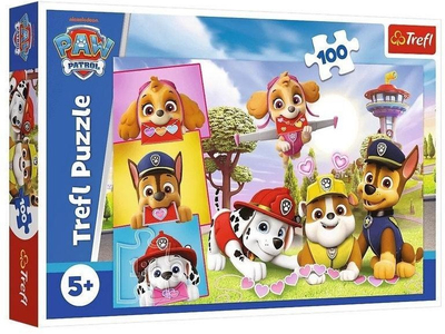 Puzzle Trefl Paw Patrol Pappussel, 100 pjesë, shumëngjyrësh