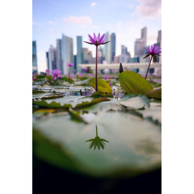 Lente NIKKOR Z 24mm f/1.8 S