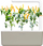 Билни капсули Click & Grow Yellow Chili, сет 3 парчиња, за Smart Garden, жолти