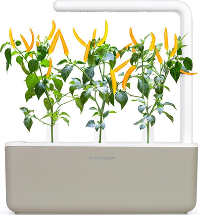 Билни капсули Click & Grow Yellow Chili, сет 3 парчиња, за Smart Garden, жолти
