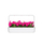 Kapsula bimore Click And Grow Pink Petunia, set 3 copë, dekorative, rozë