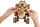 Puzzle druri mekanik UGears UTG0131 Manned Mars Rover, model 3D, 14+