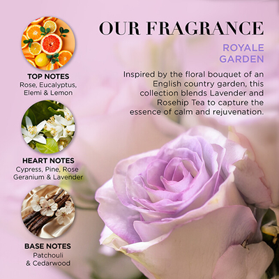 Set kozmetik për femra Baylis & Harding Lavender & Rosehip Tea, krem dushi 100 ml + shkumë kremoze për vaskë 100 ml + shampo për flokë 50 ml + balsam për flokë 50 ml + çantë kozmetike
