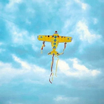 Fluturak Fat Brain Toys Maxi Plane, për kalamoj 5 10 vjeç, poliester, shumëngjyrësh