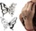 Tatuazhe të përkohshme Herma 6766 Colour Art Butterflies, 10 copë, me flutura shumëngjyrëshe
