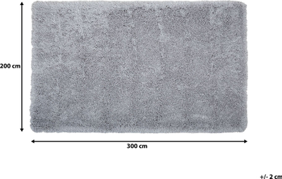 Tepih Beliani CIDE Shaggy, 200x300 cm, poliestër, gri e çelët