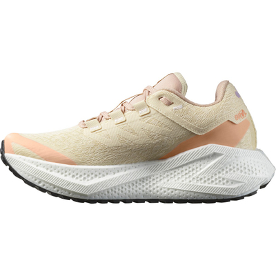 Патики за трчање Salomon Aero Glide 3 GRVL, за жени, беж