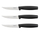 Set thika Fiskars 1014280, për biftek, 3 copë, zezë