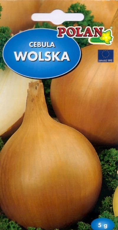 Farë qepa Polan Wolska, 5g, varietet i vonshëm
