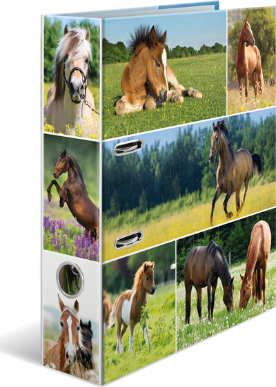 Dosje unazë Herma Folder Horse Meadow, A4, me unaza D