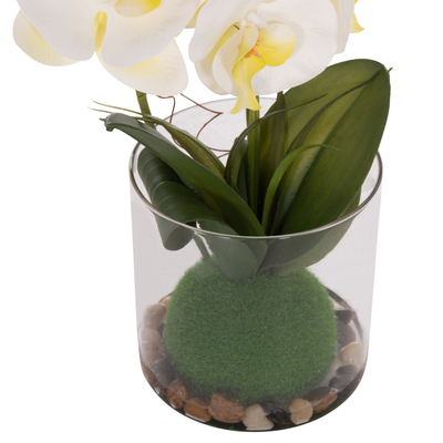 Bimë dekorative sintetike Phalaenopsis HM4738, vazo qelqi, 30cm, jeshile e bardhë