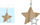 Varëse zbukurimi për pemë Natural Wooden Star, dru natyral, 8cm, ngjyrë natyrale