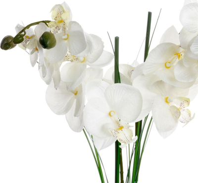 Декоративно цвете орхидеја Atmosphera Orchid, 53 cm, во црна вазна