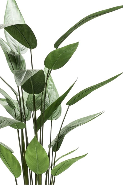 Bimë plastike Emer Heliconia, 125cm, me vazo, jeshile me të zezë