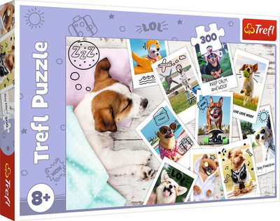 Puzzle Trefl Holiday Photos, 300 copë, 60 x 40 cm, shumëngjyrësh