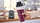 Blender Bosch MMB2111S, 0.8 L, i hirtë