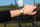 Orë dore Esprit ES1L035M0065