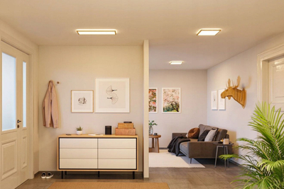 Panel tavanor LED Paulmann Atria Shine, 16W, 29cm, pamje druri