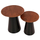 Set tavolina krahu metali druri (HM9669), zezë