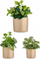 Set vazo lulesh Ibergarden, 3 copë, cilindër, diametër 14 cm 17 cm 22 cm, bezhë