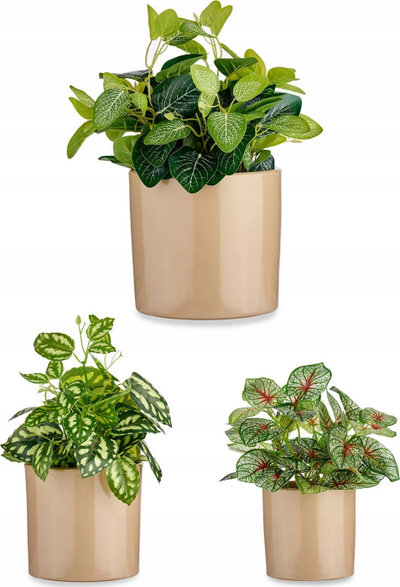 Set vazo lulesh Ibergarden, 3 copë, cilindër, diametër 14 cm 17 cm 22 cm, bezhë