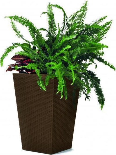 Vazo dekorative Prisma Rattan Pot, 55L, plastikë, kafe çokollatë