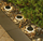 Lampë solare kopshti Saska Garden SP-6509, set 2 copë, e bardhë