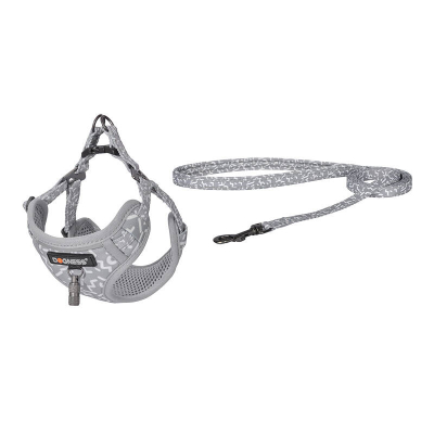 Set shëtitjeje për qen Dogness Walking, parzmore me rrjetë, zinxhir, gri e çelët