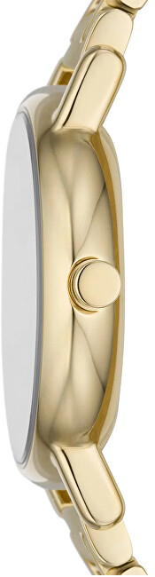 Orë për femra Skagen Signature Lille SKW3124, e artë