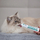 Pasta anti-hairball për mace VetExpert TrichoCat, suplement tretjeje, 120g