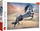 Puzzle Trefl Majestic Horse, 1000 copa, për të rritur, shumëngjyrësh