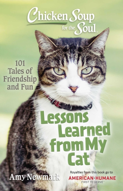 Lessons Learned From My Cat - Amy Newmark