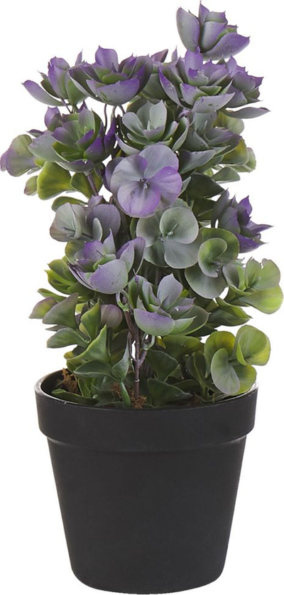 Bimë artificiale HOUSELEEK, sukulent dekor, me vazo, jeshile me vjollcë