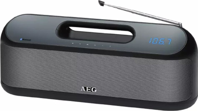 Altoparlant AEG SR 4842, i zi